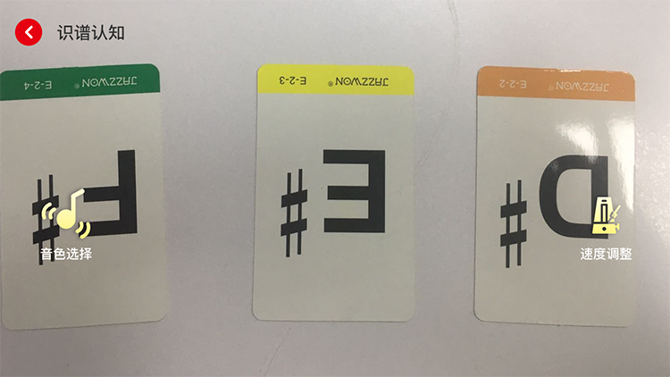 卓司韵 project showcase 2